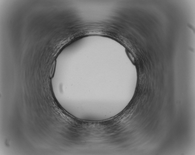 X0000097980385200804141122