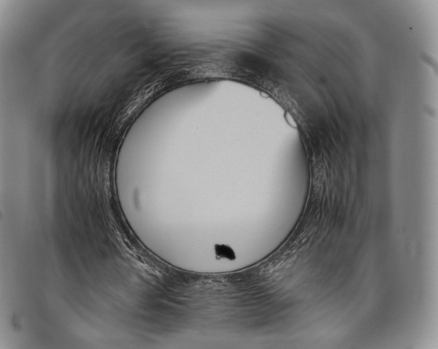 X0000097980386200804141122