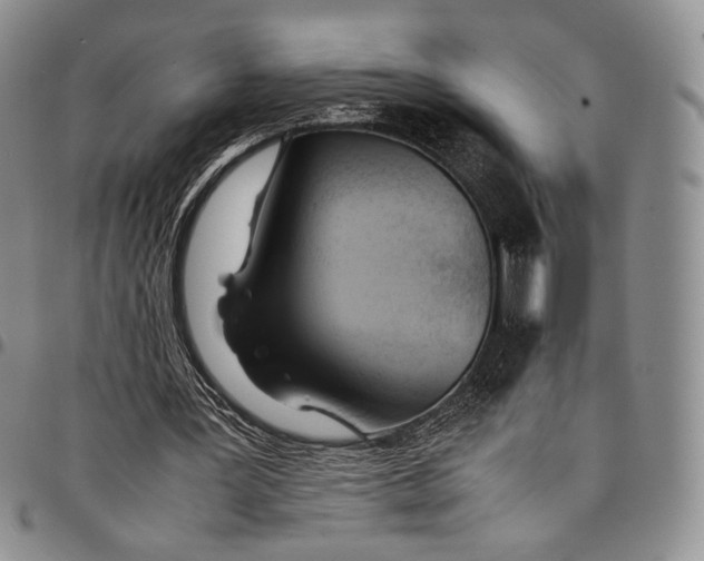 X0000097980387200804141122