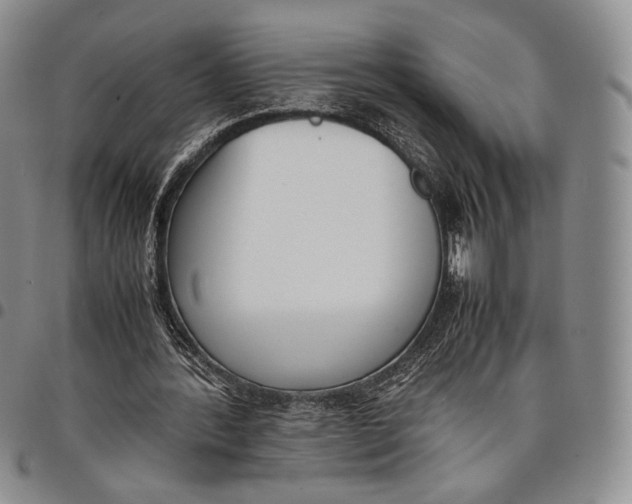 X0000097980388200804141122