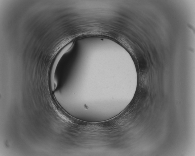 X0000097980389200804141122