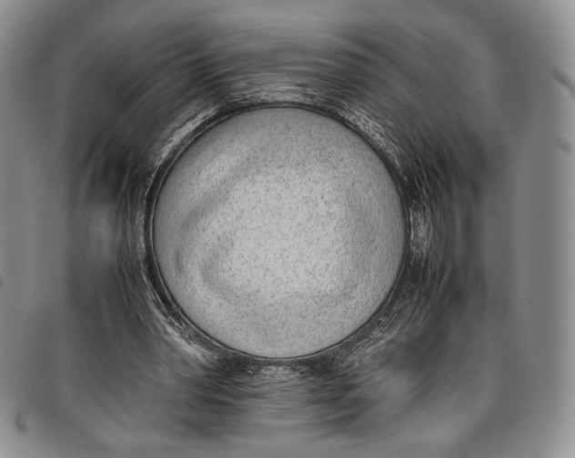 X0000097980390200804141122