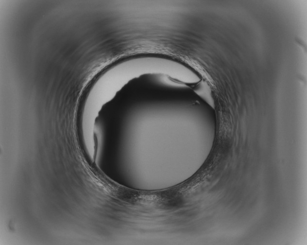 X0000097980391200804141122