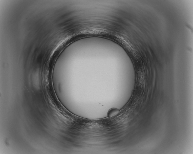 X0000097980392200804141122