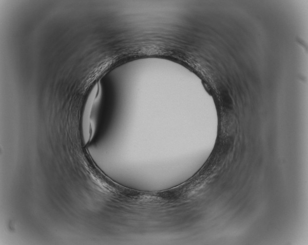 X0000097980393200804141122