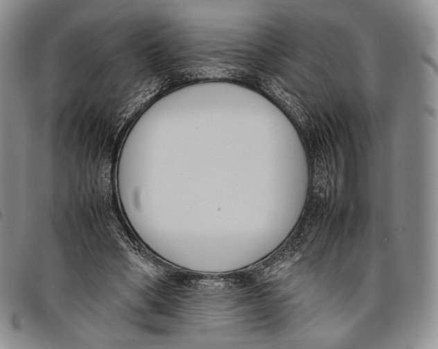 X0000097980394200804141122