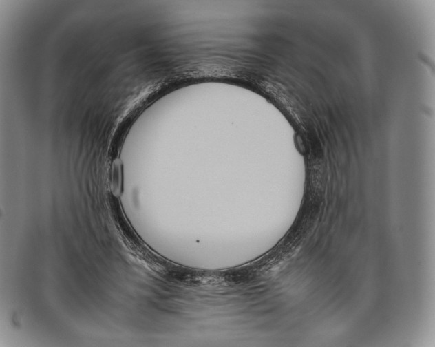 X0000097980395200804141122