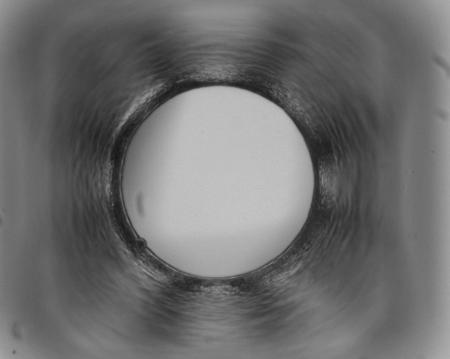 X0000097980396200804141122