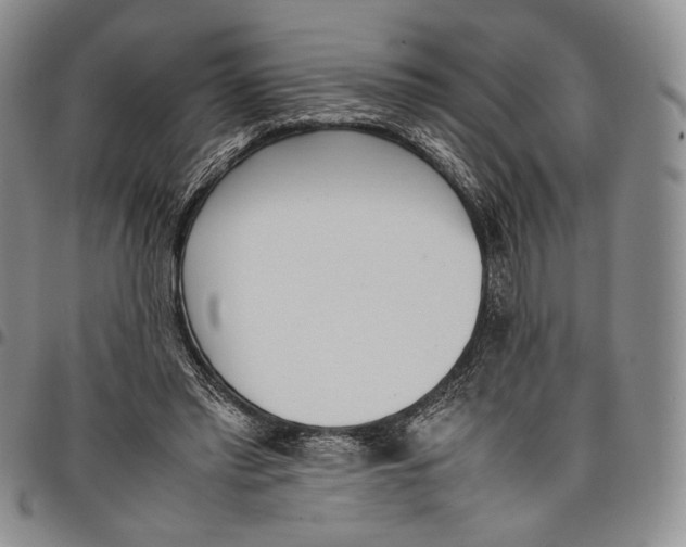 X0000097980397200804141122