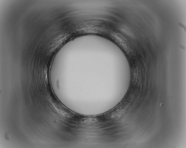 X0000097980398200804141122