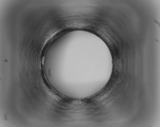 X0000097980399200804141122