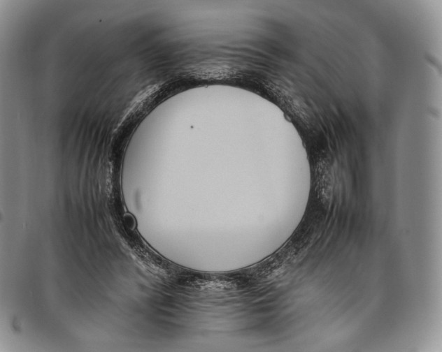 X0000097980400200804141122