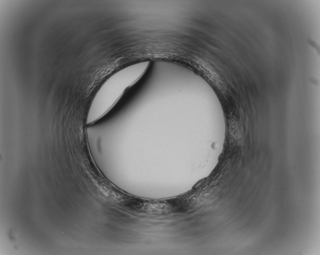 X0000097980401200804141122