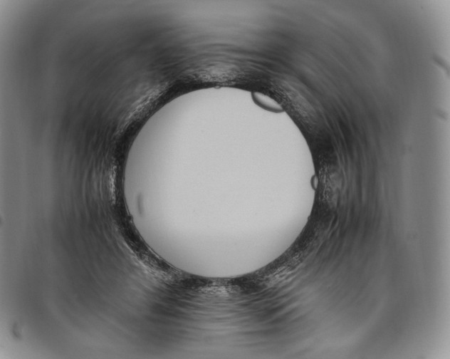 X0000097980404200804141122