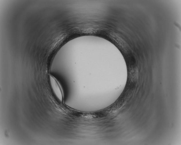 X0000097980407200804141122