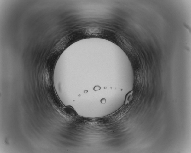 X0000097980408200804141122