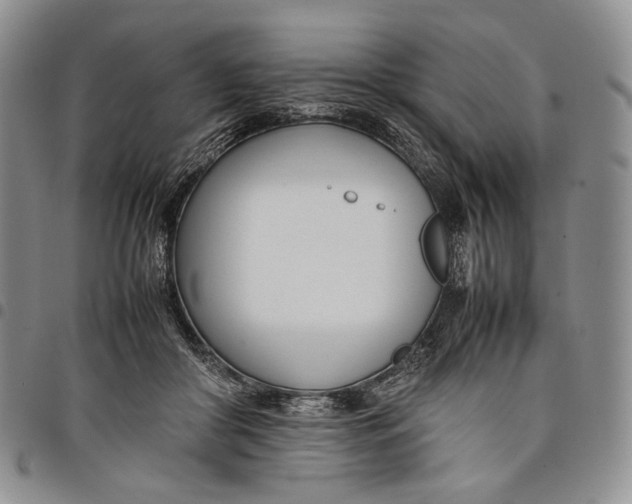 X0000097980410200804141122