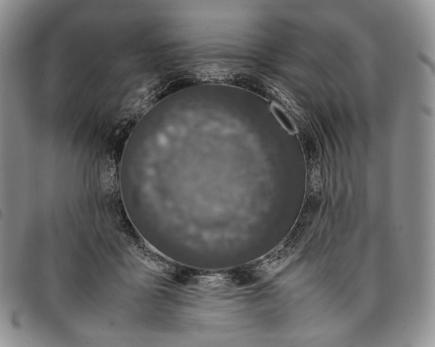 X0000097980411200804141122