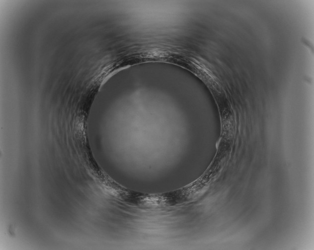 X0000097980415200804141122