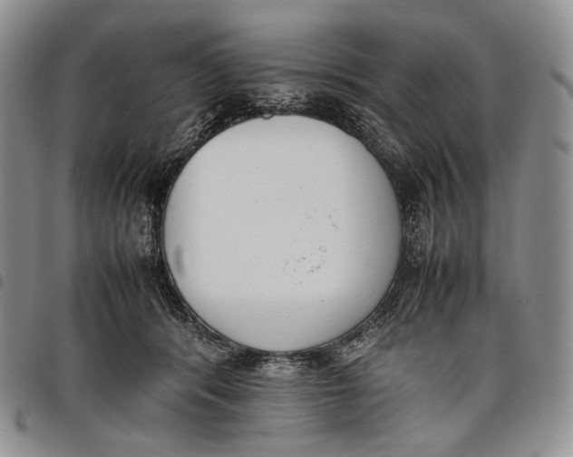 X0000097980416200804141122