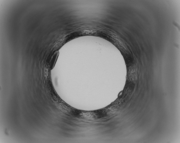 X0000097980417200804141122