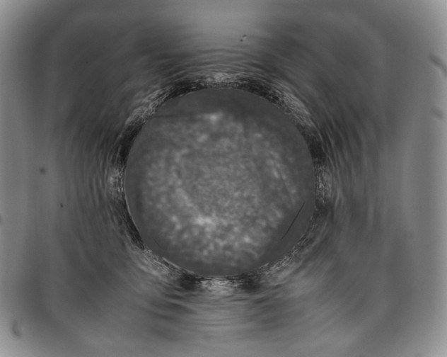 X0000097980419200804141122