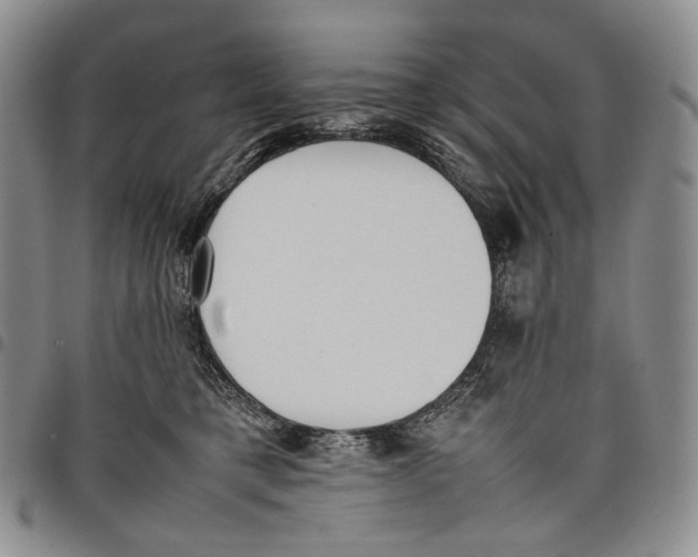 X0000097980421200804141121