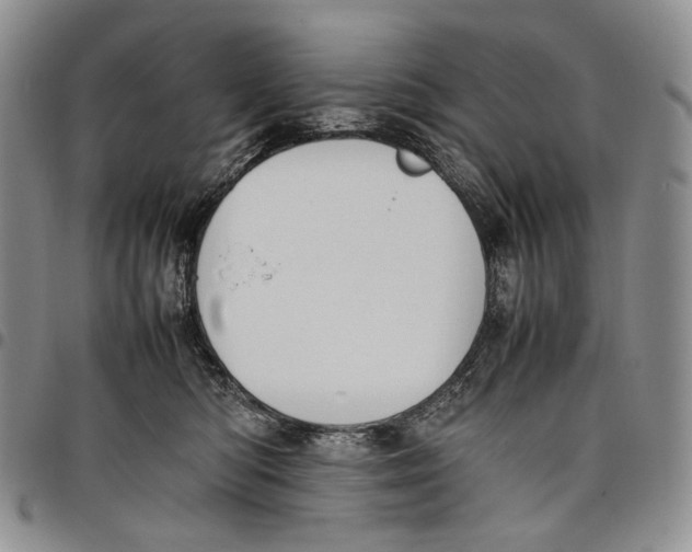 X0000097980422200804141121