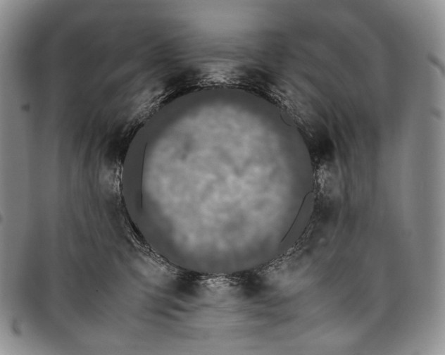 X0000097980423200804141121