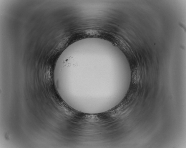 X0000097980424200804141121