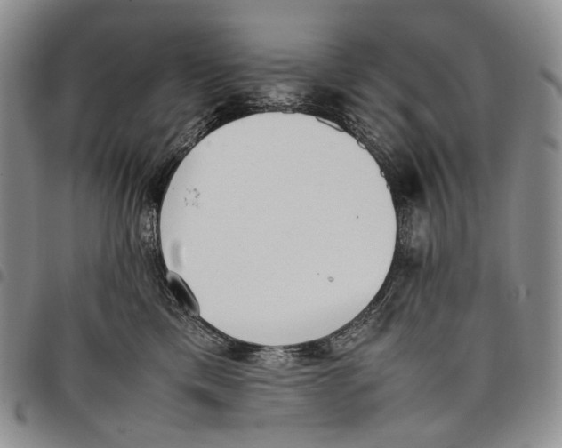 X0000097980425200804141121