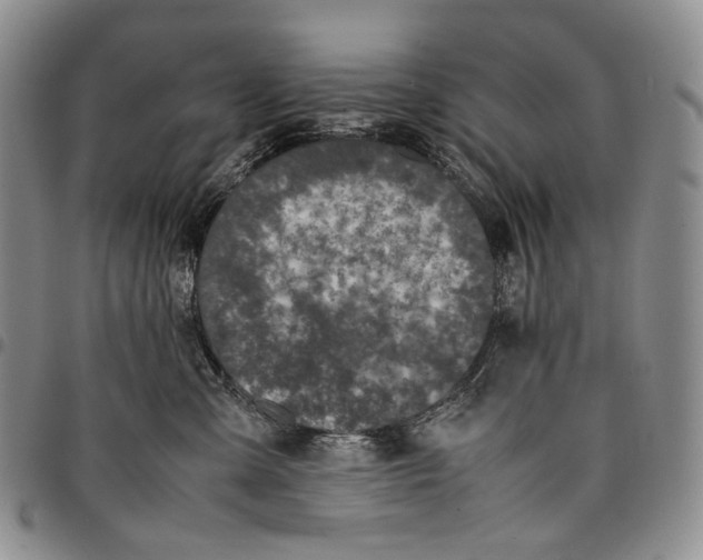 X0000097980427200804141121