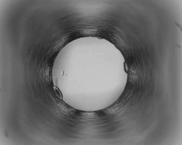 X0000097980428200804141121