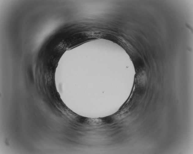 X0000097980429200804141121