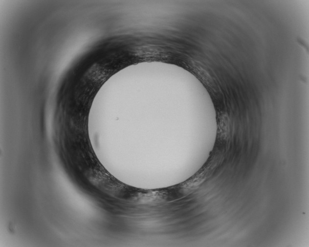 X0000097980430200804141121