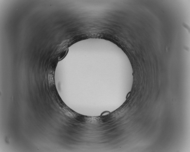 X0000097980432200804141121