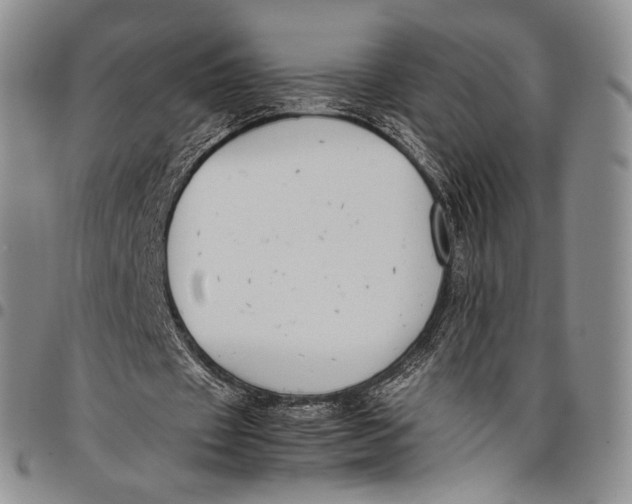 X0000097980433200804141121