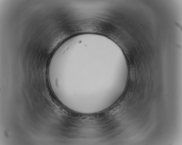 X0000097980434200804141121