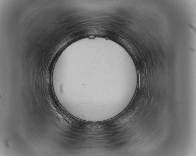 X0000097980435200804141121