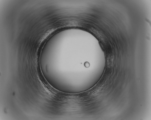 X0000097980436200804141121