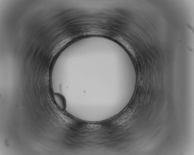 X0000097980437200804141121