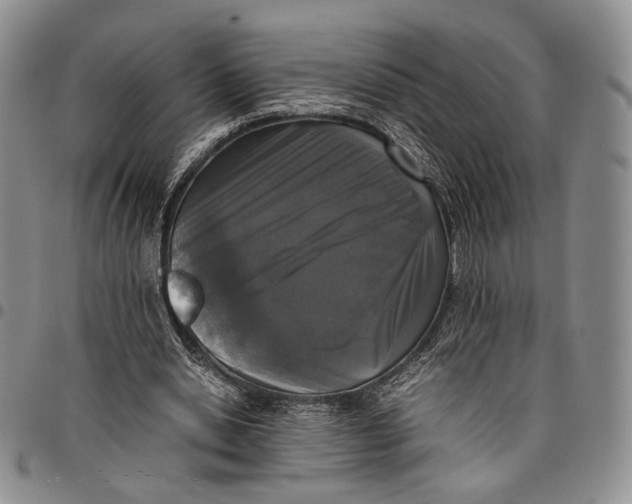 X0000097980438200804141121