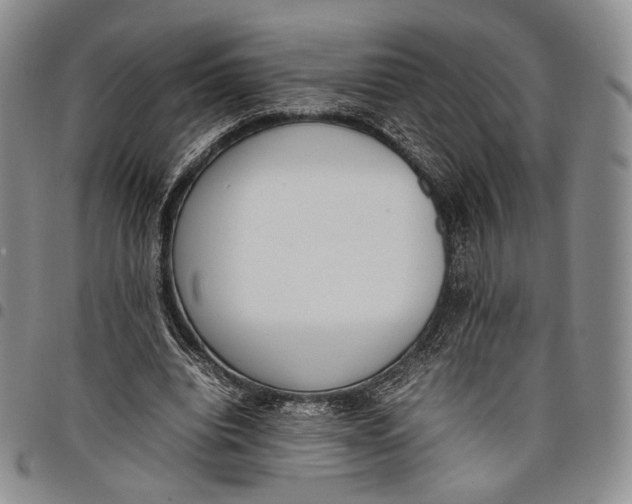 X0000097980440200804141121