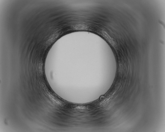 X0000097980441200804141121