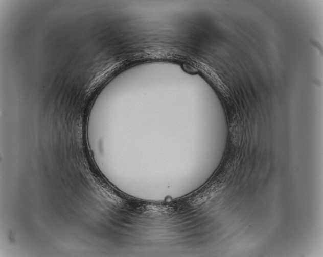 X0000097980442200804141121