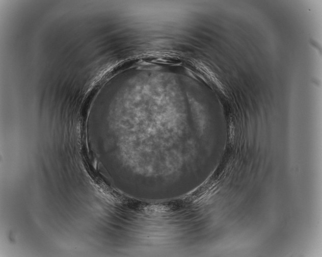 X0000097980444200804141121