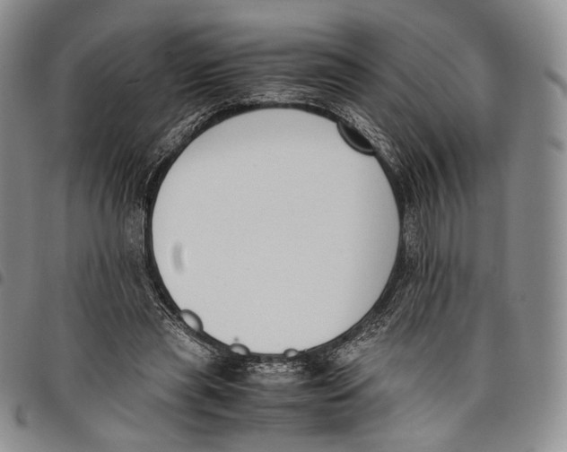 X0000097980445200804141121