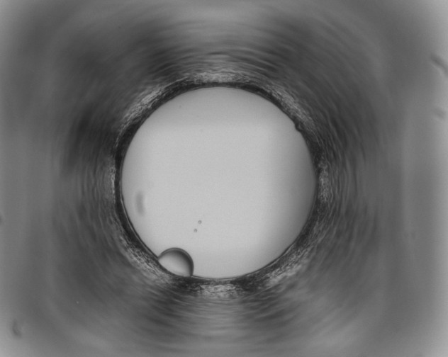 X0000097980446200804141121