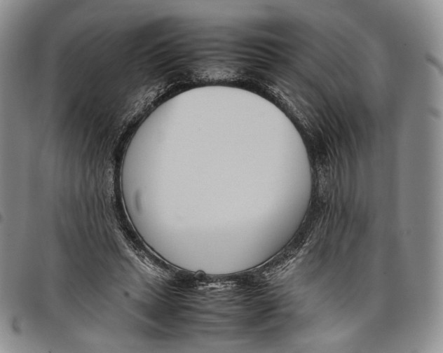 X0000097980447200804141121