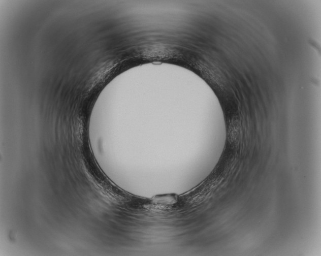 X0000097980448200804141121